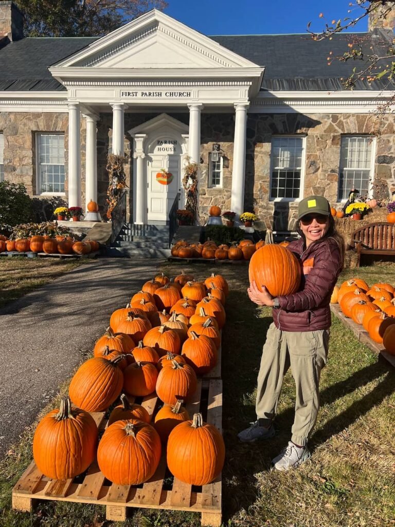 Pumpkins ready to go