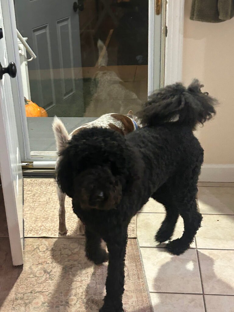 Sheila and Molly became good friends