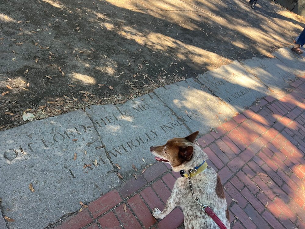 Sheila checking out the inscription