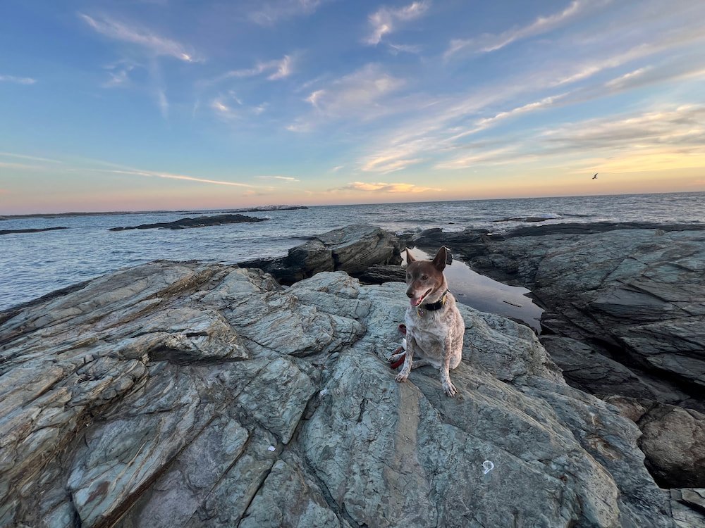 Sheila enjoying the last rays of the day