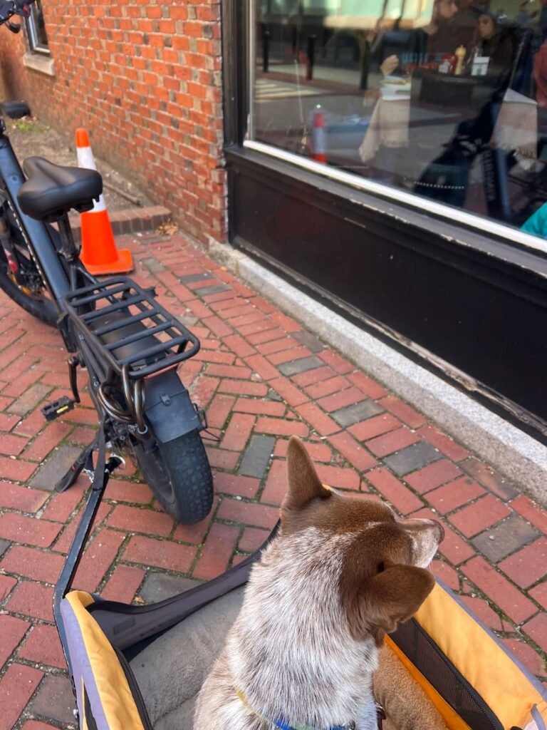 Sheila getting lots of looks from people inside the restaurant