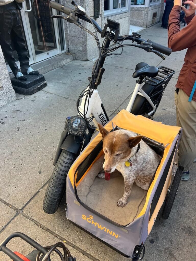 Sheila not impressed