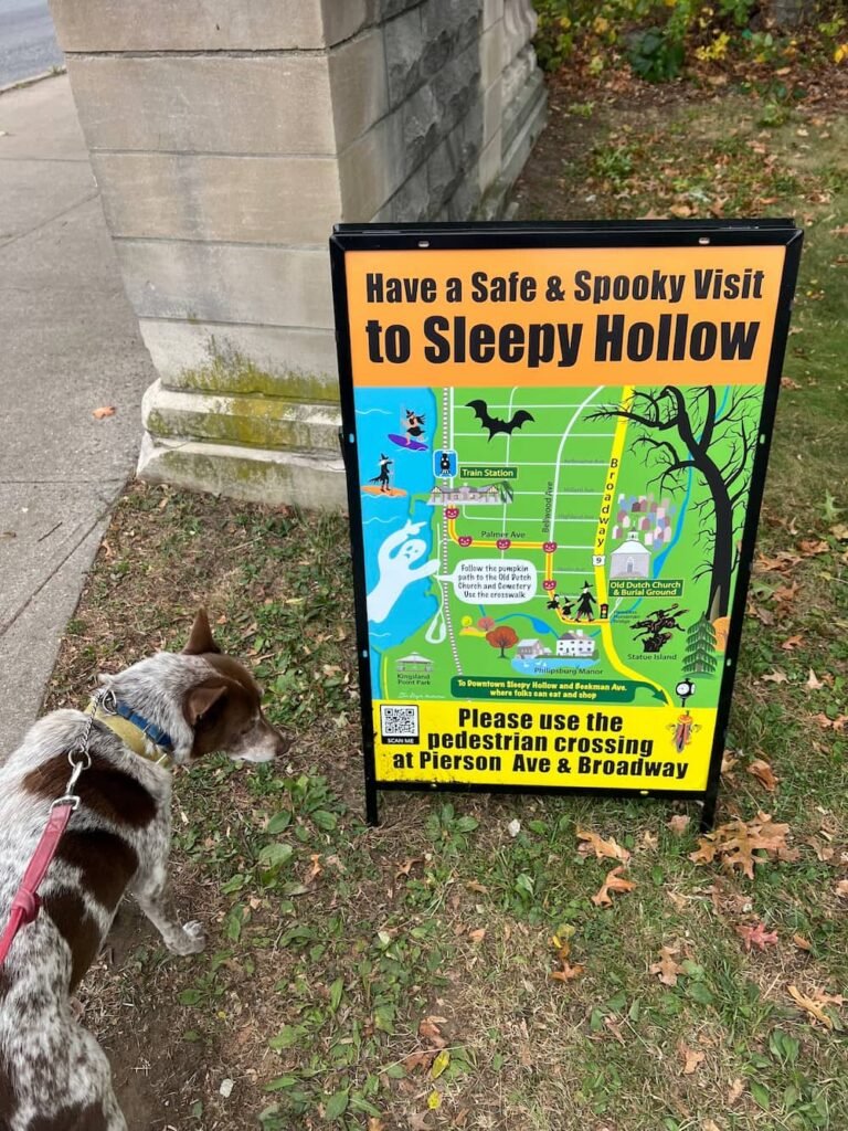 Sheila ready to get spooky