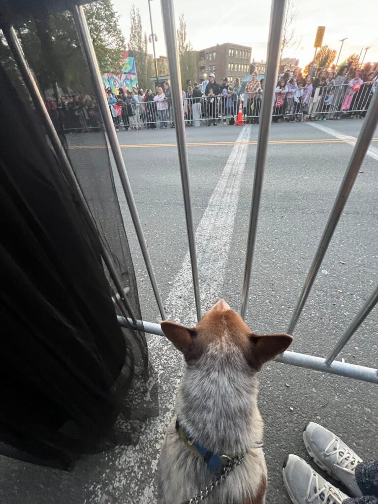 Sheila waiting for the parade to start