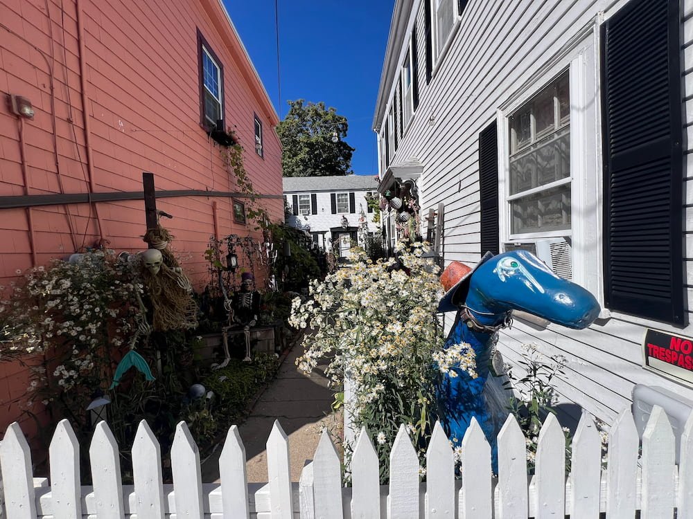 Someone decorated their side yard