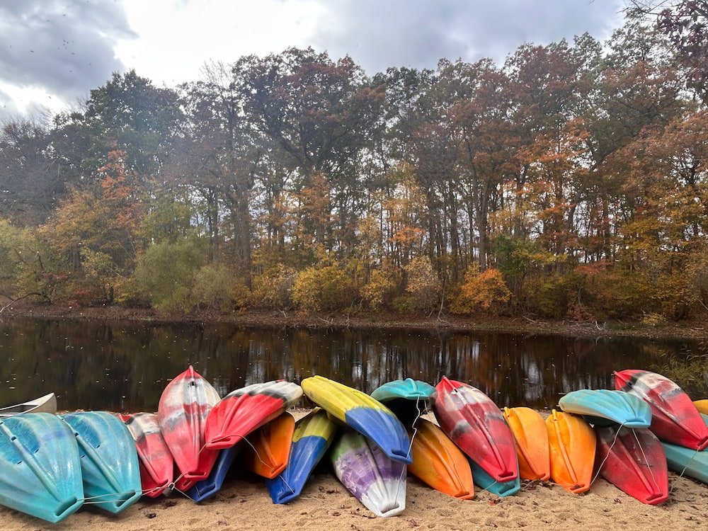 Someone needs to take these for a paddle