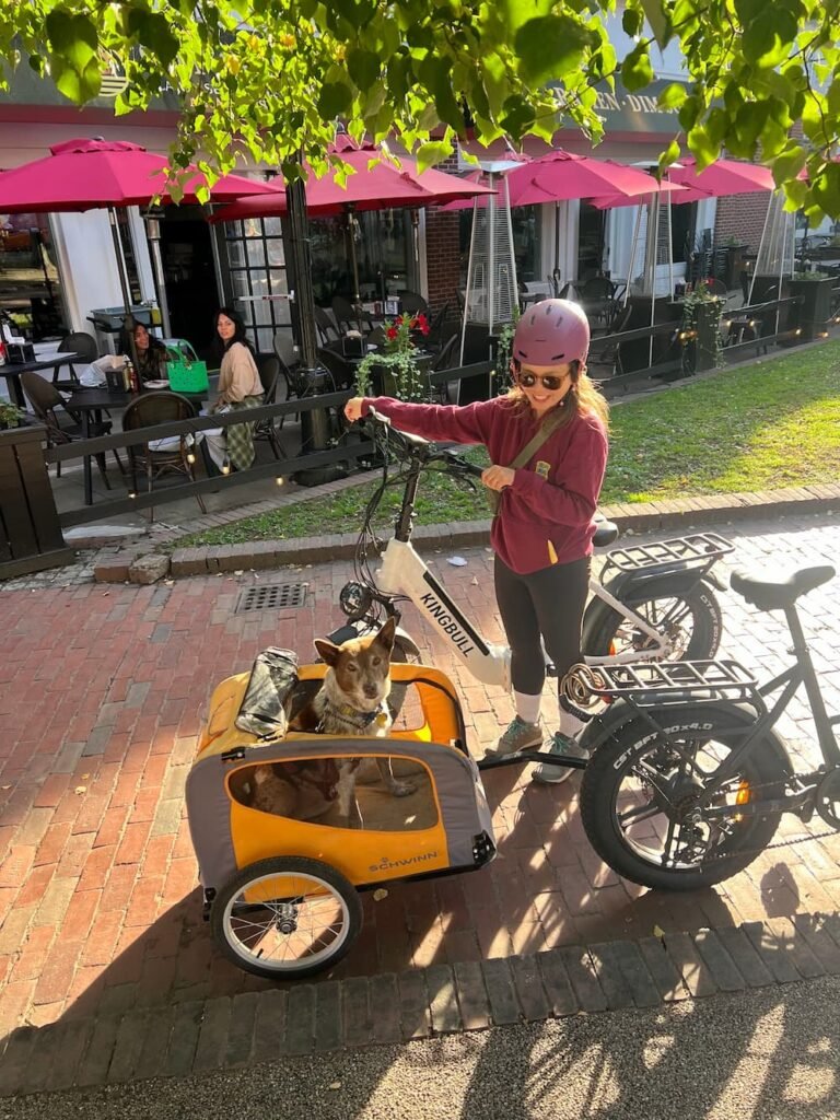 The bikes make it so easy to get around