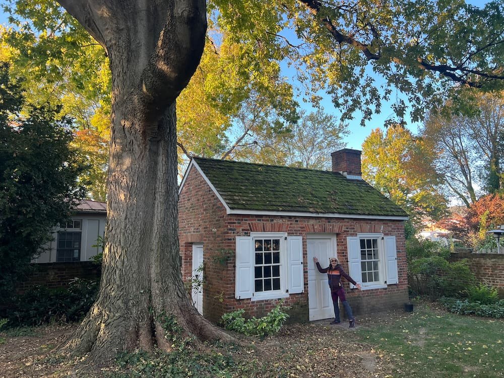 The shed out the back