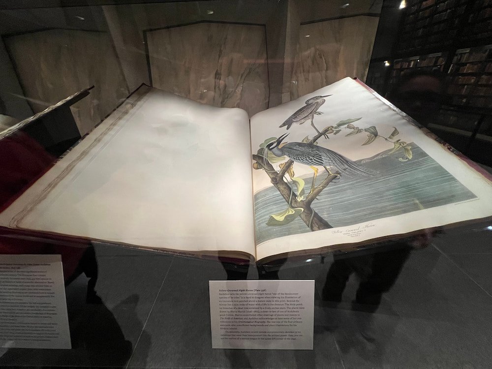 This was beautifully illustrated