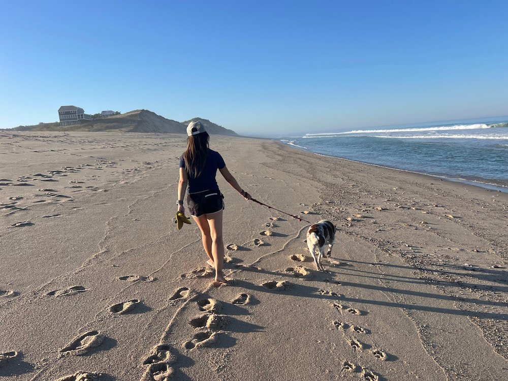 Walking along the beach