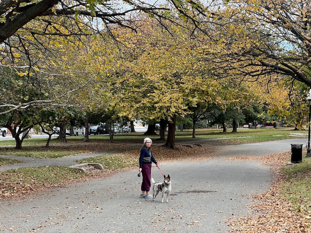 Walking through the park