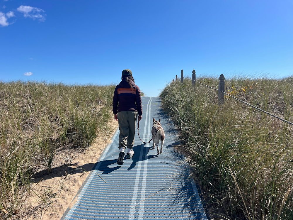 Walking to the beach