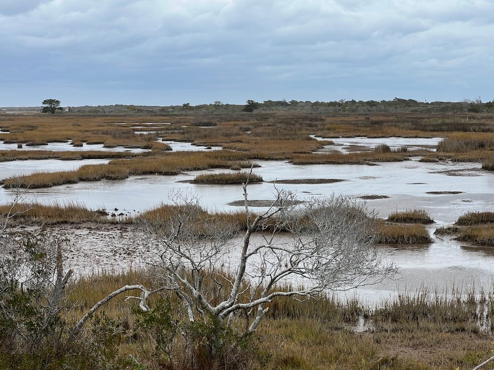 Wetlands at Assateague State Park
