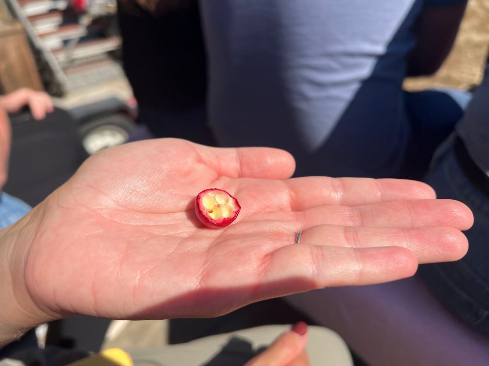 Who knew they were hollow inside