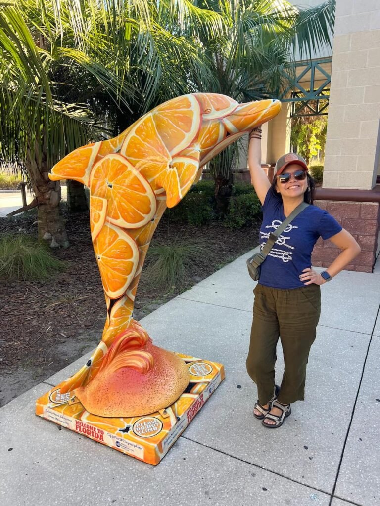 Citrus Dolphin