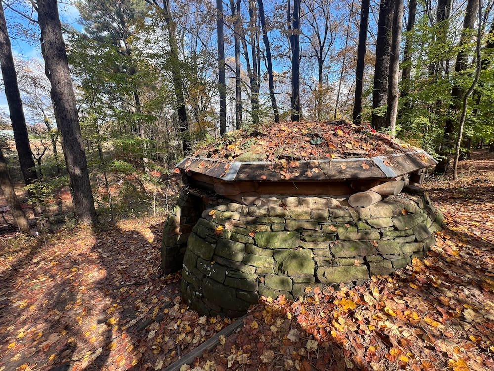 Cloud Chamber for Trees and Sky