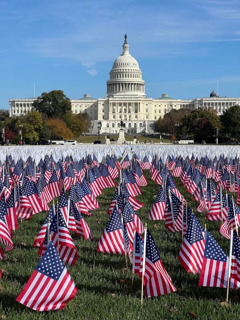 Flags in front of the Capitol Building