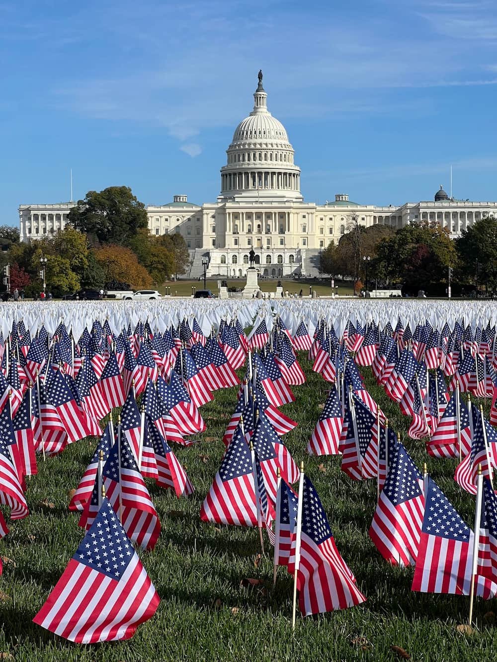 Flags in front of the Capitol Building