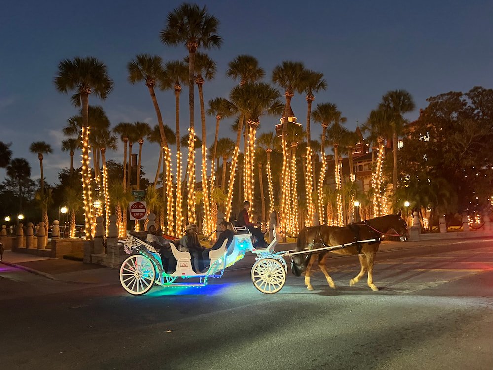 Horse and carriage ride through the night lights