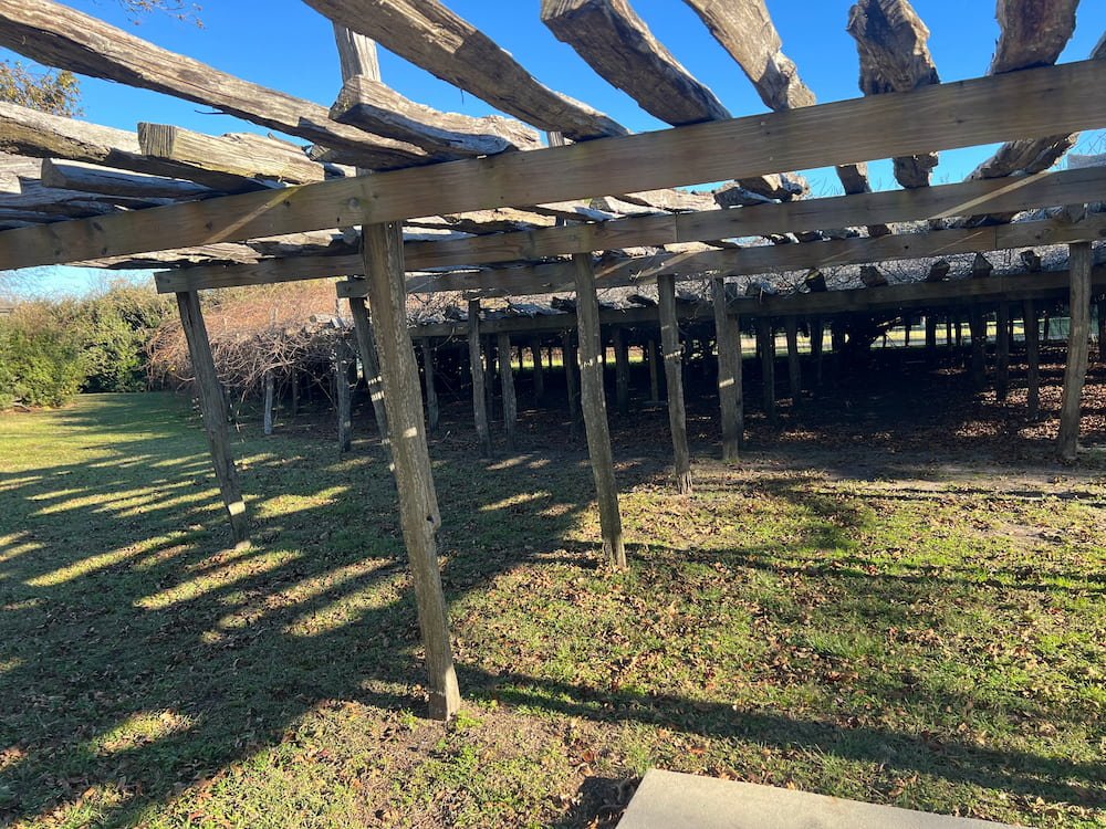 It looked pretty dead to be honest