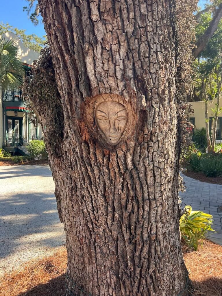 Keith Jennings face in the tree