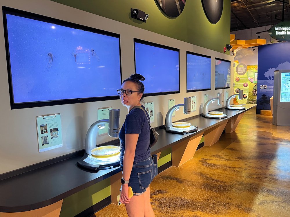 Looking at bugs through a microscope