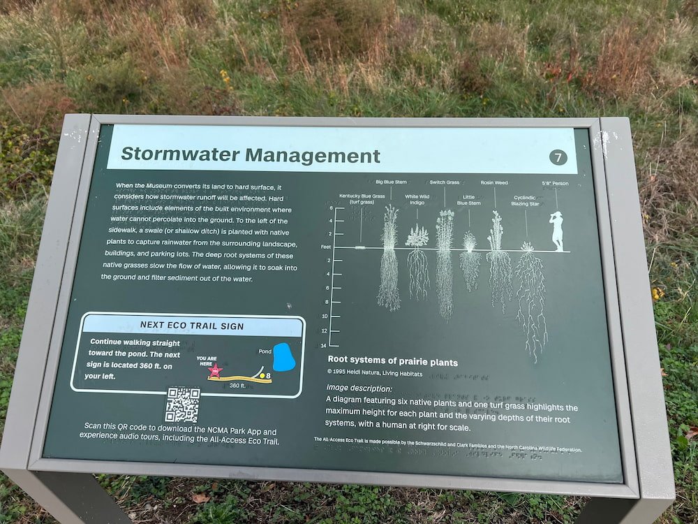 Michael was really interested in this