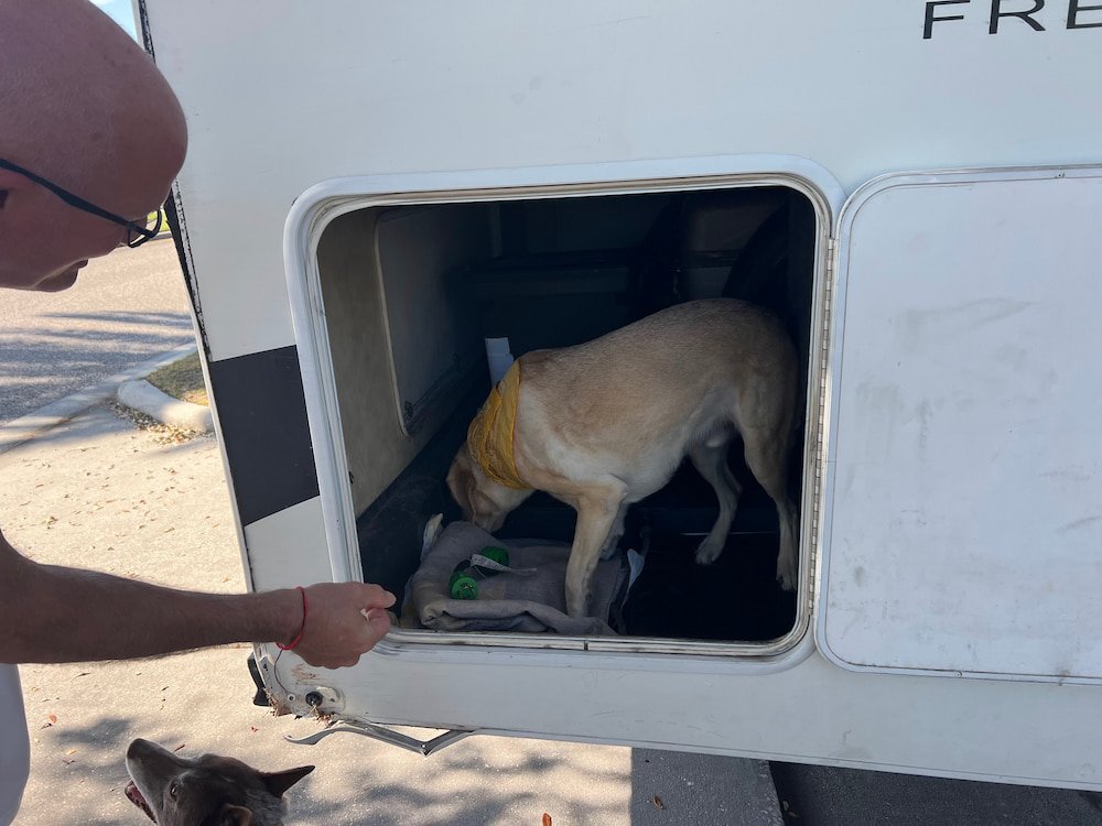 Paul decided to jump in the back