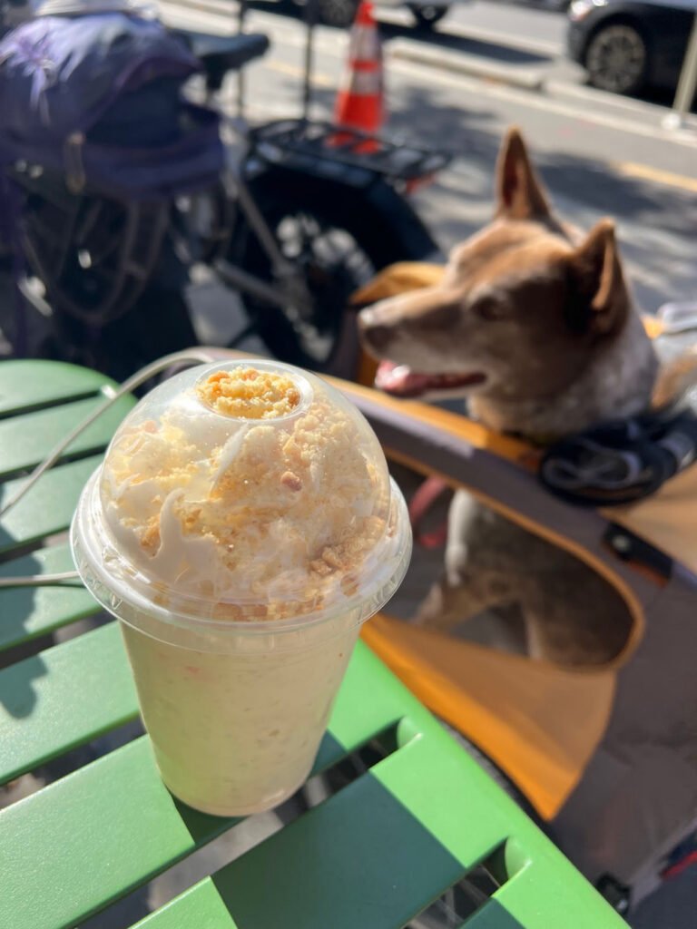 Shake Shack banana sundae shake