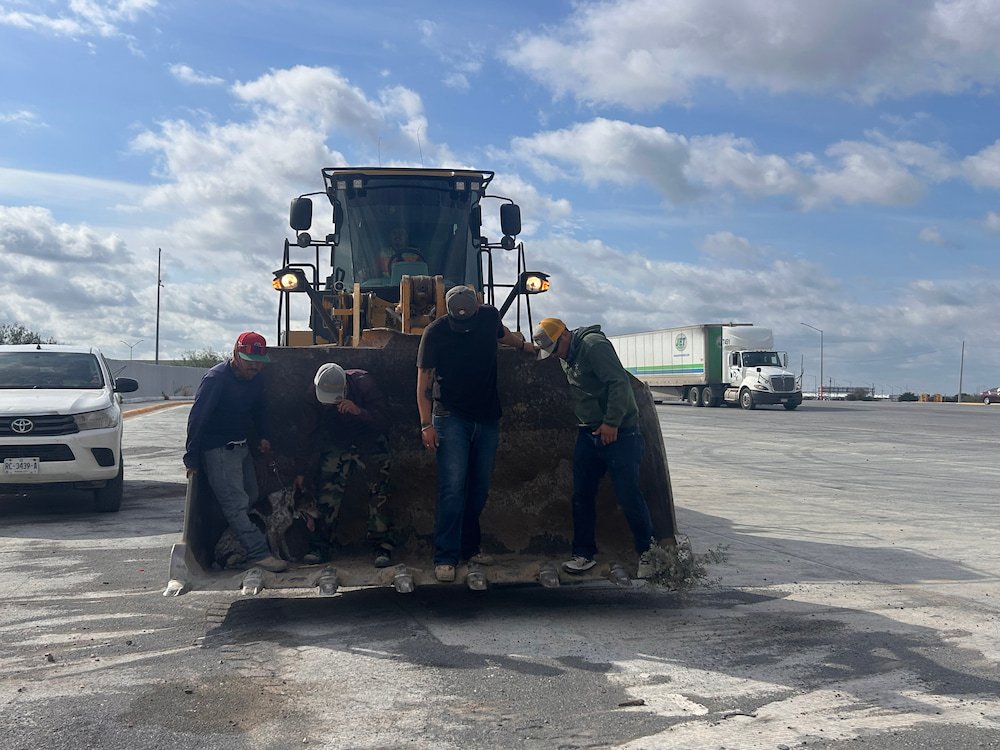 Sheila in the bucket of the loader