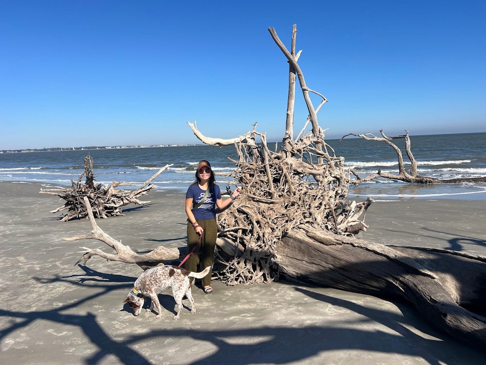 The root systems were so intricate