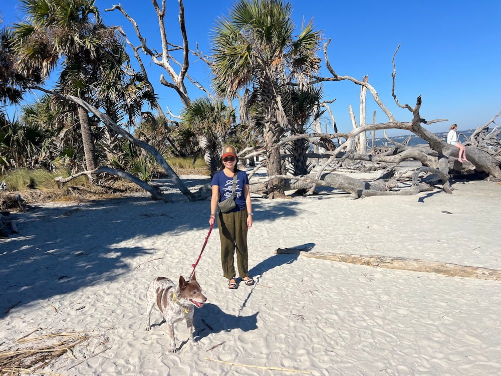 White sand at Driftwood Beach