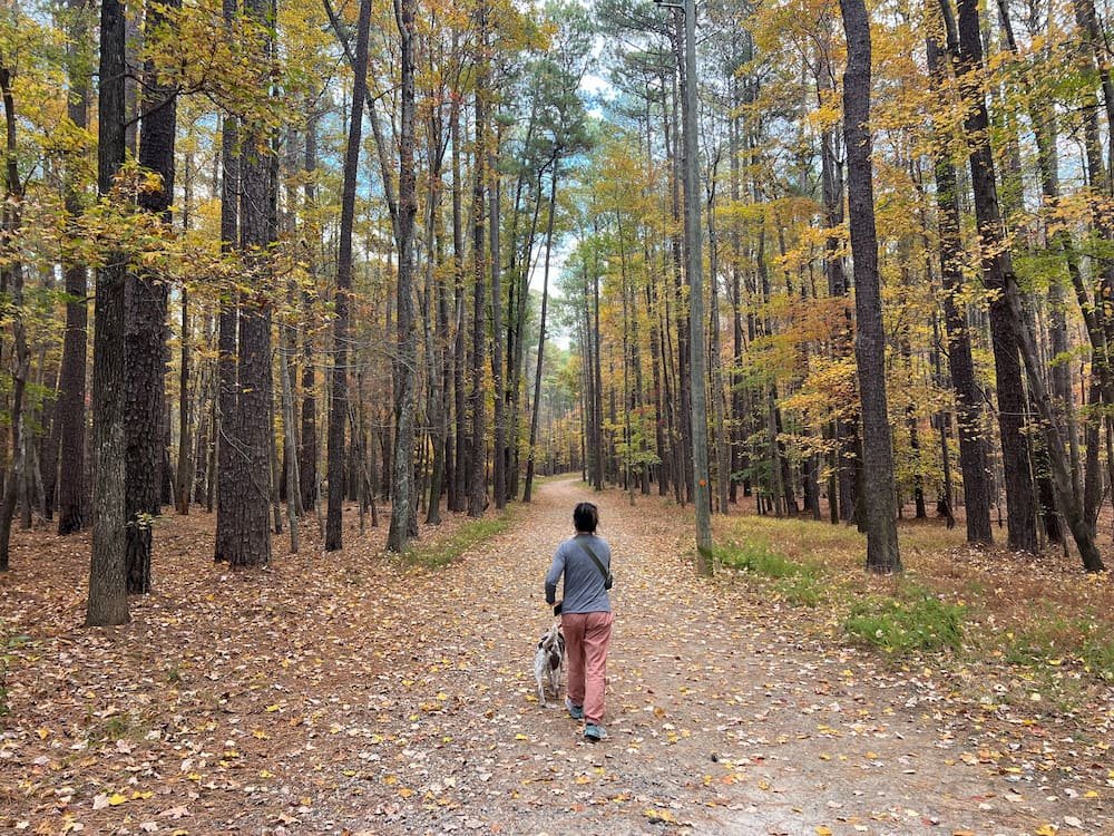 William B Umstead State Park