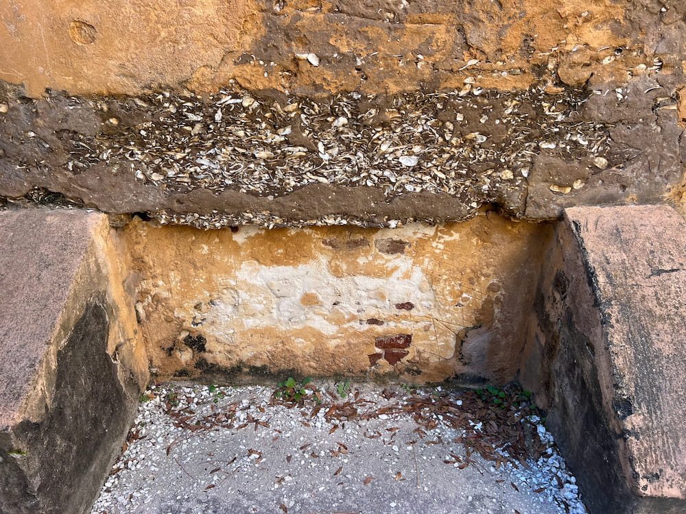 You can see the shells in the walls